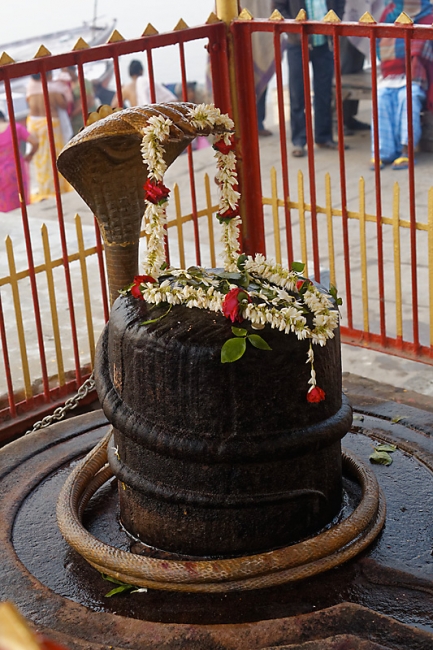 Varasani-Promenade sur le Gange-080
